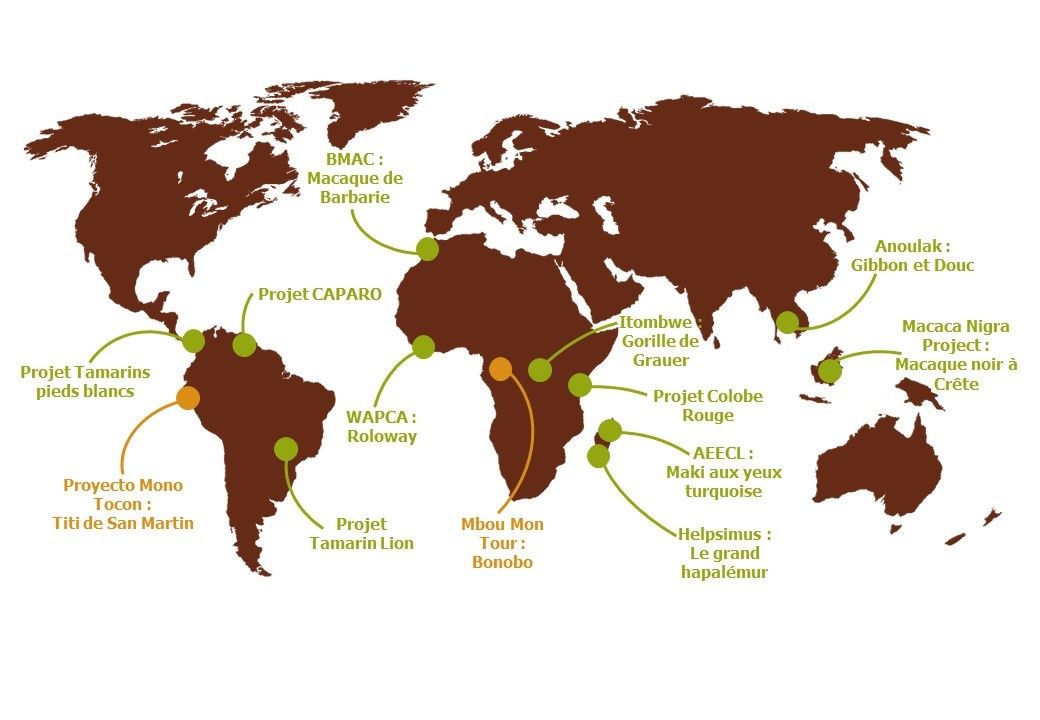 carte des projets